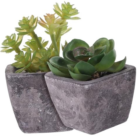 Yardenfun 2stücke Teiliges Künstliches Sukkulenten Miniaturtopf Lebensechte Deko Für Wohnzimmer Büro Badezimmer Pflegeleicht Ohne Wasser Naturgetreues Design Für Regale Und Tische