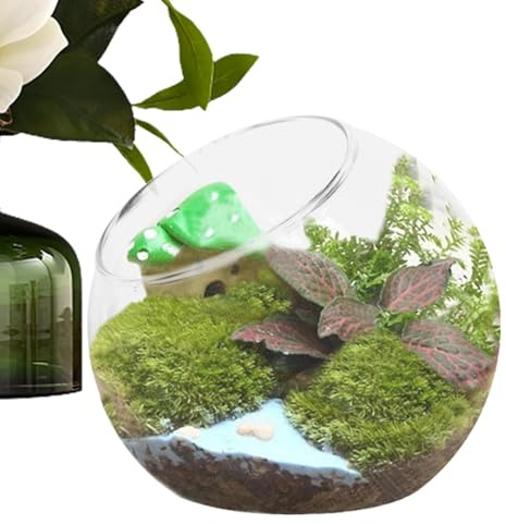 Pflanzenterrarium - Multifunktionale Glasschale Für Haus- Und Event-Dekoration | Klare Vase Für Blumen, Runde Kerzenhalter, Schräge Mund Vase Home Decoration Display Mittelpunkt Für Fett