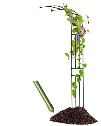 Metall Pergola für Kletterpflanzen Wasserdicht 240270cm Blumenständer Weinreben Blumenständer Gartendeko Schwarz 180x270cm