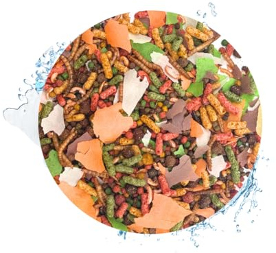 Warnick's Fischfutter Fischfreude 360 Grad - 5 Liter im Eimer | Rundum-Mix für Teichfische - Mit Koipellets, Teichsticks, Quellflocken & mehr - Abwechslungsreiches Teichfutter