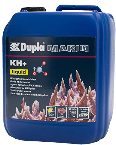 Dupla KH+ Liquid 5.000 ml - Flüssiger Karbonatbildner für stabilen pH-Wert - Effiziente Wasseraufbereitung für Ihr Aquarium - Fördert das Korallenwachstum - Für Meerwasseraquarien geeignet