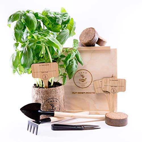 KRÄUTERGARTEN ANZUCHTSET 4 Sorten Pflanzen Samen- garten Starter-Set, öko Saatgut mit Holzkiste mit deckel, mini gewächshaus, kinderküche zubehör, Kinder Anzuchtset von PUT DOWN ROOTS