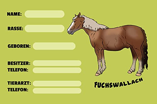 Aus Holz 20x30cm Pferd Namensschild Impfausweis behandelter Arzt Steckbrief Fuchswallach