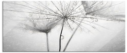 Pixxprint Glasbild Panorama, Wandbild aus Echtglas, Pusteblume bedeckt mit Tropfen, 120x50 cm, inkl. Aufhängung und Abstandshalter