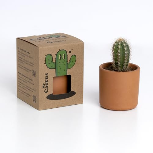 Mr. Cactus – Kit de Cultivo de Cactus con Maceta de Barro Artesanal | Fácil de Cuidar | Purifica el Aire | Regalo Original y Decorativo | Resetea