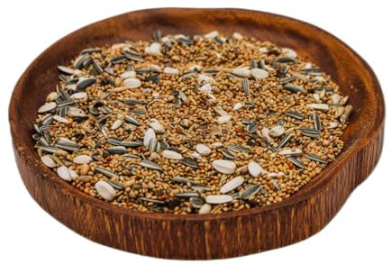 Großsittichfutter 1 kg Anhaltiner Premiumfutter