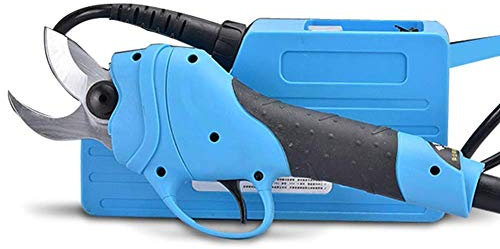 Lumemery Sécateur électrique sécateur Professionnel sans Fil Rechargeable Professionnel au Lithium Branche Batterie