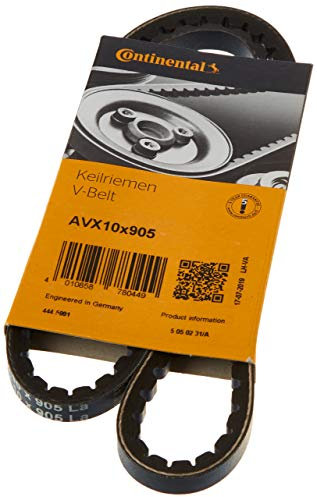 Contitech AVX 10 X 905 Cinghie Trapezoidale