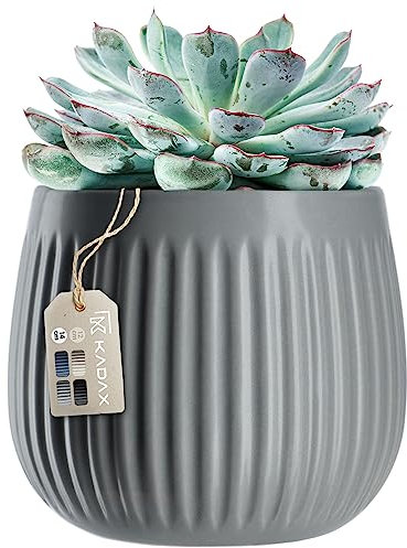 KADAX Vaso da fiori in ceramica con goffrature decorative, in 4 varianti di colore, per piante da interno, in ceramica, design senza tempo (14 cm, grigio)