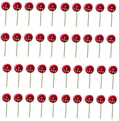 KITANDOVE 40 Stück DIY Moos-mikrolandschaftsdekor Pilz-Ornament Bastel-pilz-Ornament Modell Mikrolandschaften Dekoration