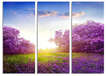 Paul Sinus Art 130x90cm – Keilrahmenbild Frühlingslandschaft lila Blumen Sträucher 3teiliges Wandbild auf Leinwand und Keilrahmen - Fotobild Kunstdruck Artprint
