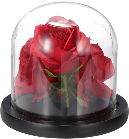 sourcing map Glass Cloche Display Dome, 4.7 x 4.7 Glass Dome Display Case Wood Base Tabletop Jar Case Decorative Bell Jar for Plant Home Decor Office Wedding Party, Black