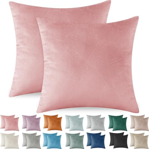 Ystyle Federe Cuscini Divano 40x40 2 Pezzi, Copricuscino Divano in Velluto, Copricuscino Divano Lavabili e Resistenti Anallergico Antiacaro e Traspirante con Cerniera Nascosta, Rosa