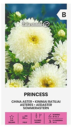 Zalia stotele | ASTER DE CHINE - PRINCESSE des Graines | Graines de Fleurs | Graines de Plantes | Graines de Jardin | 1 Paquet