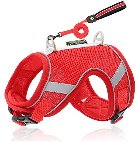 No-Pull Hundegeschirr Und Leine Set,Anti Zug Atmungsaktiv Brustgeschirr Geschirr,Reflektierende Welpen Hund Geschirr Für Katze Welpen Hunde Für Den Täglichen Training,Rot,S