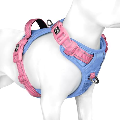 PHOEPET Hundegeschirr Kleine Hunde, Anti Zug Verstellbar,Blassblau S | No Pull & Vollständig Verstellbar，2 D-Ringe，Schnellverschluss-Schnallen，Atmungsaktive Polsterung，Reflektierend,Mit Griff