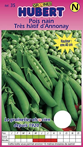 Graines de Pois Nain Très Hâtif d'Annonay - 150 grammes