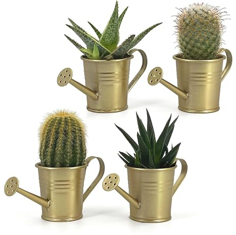 Vimin Box Lot de 4 mini arrosoir, pot décoratif, pour plantes succulentes, petites fleurs, décoration maison, jardin, balcon