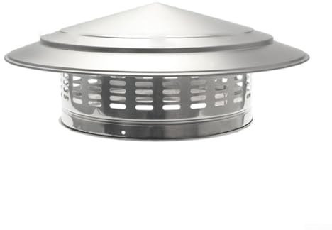 EpheyFIF Capuchon de cheminée en acier inoxydable, capot de cheminée en métal avec protection contre les oiseaux, sortie d'air frais, conduit d'échappement de toit, hotte d'échappement (250 mm)