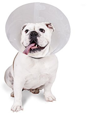 KVP Überprüfen Pet Recovery Halsband