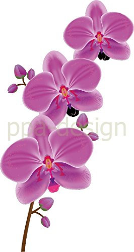 Sticker Autocollant Mural Nature Fleur Orchidée - SAD1016 (Hauteur 130cm)