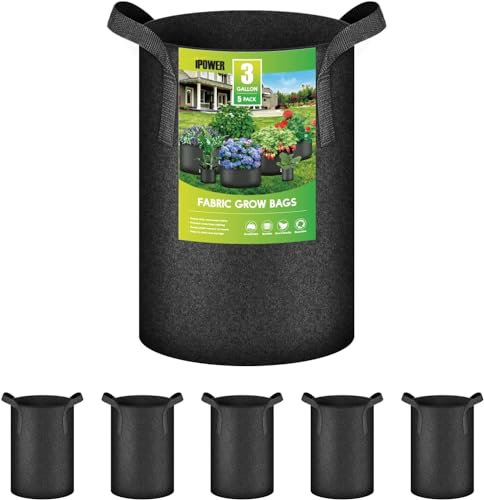 iPower Sac de Culture en Tissu pour Pot d'aération, Noir, 10 litres