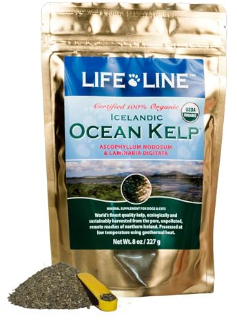 Life Line Organic Ocean Kelp Powder for Cats, Dogs, Livestock, and Horses – Natural Iodine Supplement for Healthy Skin, Coat, and Teeth – Reduces Plaque & Increases Metabolism - 8 oz