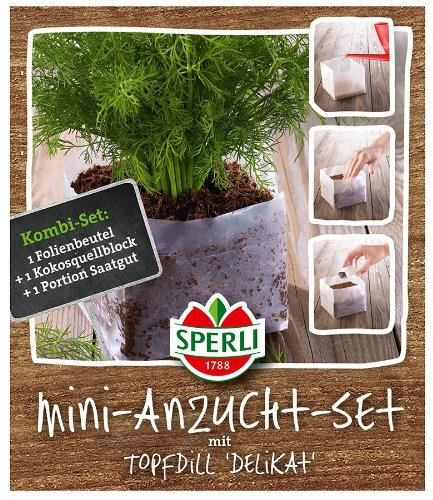 Sperli 83962 Dill Delikat Mini-Anzuchtset (Dillsamen)