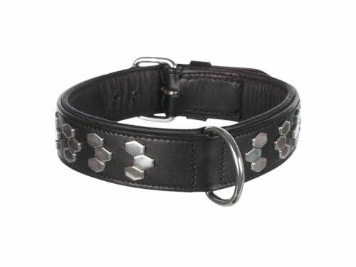 TRIXIE Active Halsband mit Nieten, Multi, L-XL, 4011905018393