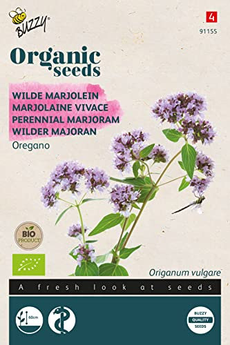 Buzzy Organic Perennial Marjoram - Oregano(BIO)