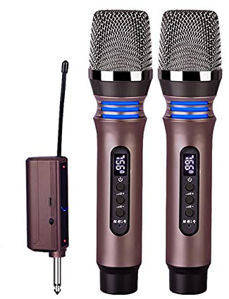 CLLBANT Microfono Microfono Wireless Professionale in Metallo Microfono palmare dinamico cardioide Doppio Microfono Universale Ricaricabile per Canto Karaoke con Ricevitore