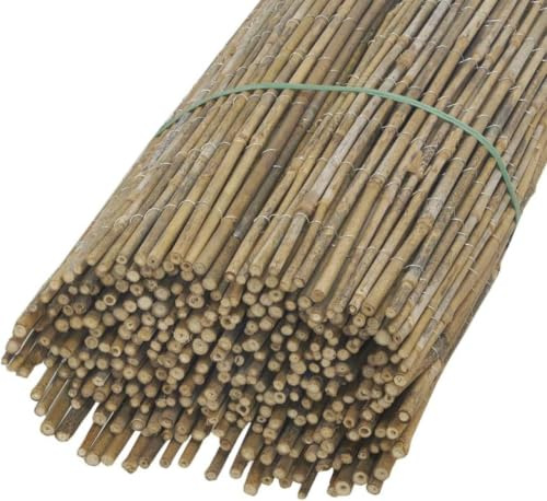 Canisse en Petit Bambou 1,5 x 5 m