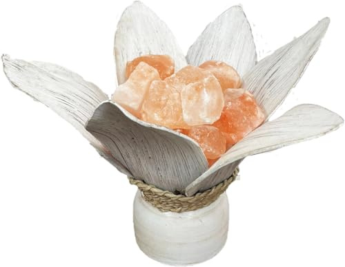 Fantasy Bazar Lampada foglia di cocco con sale himalayano tipo braciere