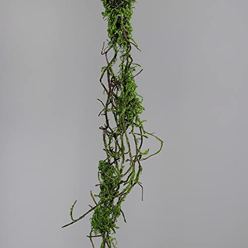 Seidenblumen Roß Moos-Ranke/Moos-Girlande DP künstliche Pflanzen Ranken Moosranke Liane … (170cm)