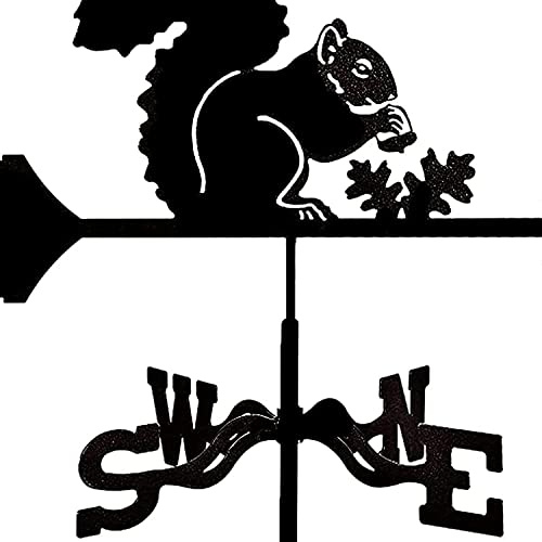 YXKJHH Girouette de pêcheur, indicateur de Direction du Vent en Fer, Outil de Mesure Professionnel en Acier Inoxydable, Piquet de Jardin extérieur pour Grange, Ferme, Artisanat de décorat