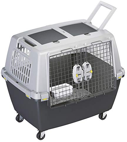 Kerbl 81340 Gulliver Touring IATA Transportbox, 80 x 58 x 62 cm, grau