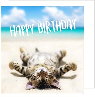 Edition Seidel Premium quadratische Geburtstagskarte mit Umschlag. Glückwunschkarte Happy Birthday Billet Karte Mann Frau Teenager Kinder Coole Katze Humor Lustig (GQ117)