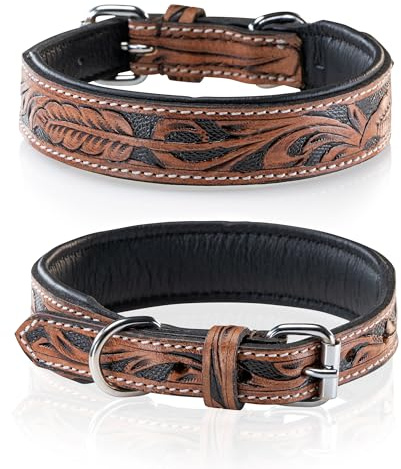 Jack & Russell Unikat Hundehalsband aus Leder, Hand-geschnitzt und gepolstert – Halsband aus Büffelleder, Hunde Lederhalsband Solitaire (S/27.5-34)