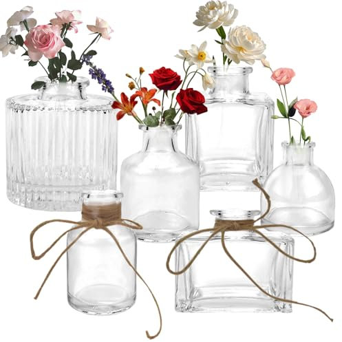 KXVXXV 6 Kleine Glas Vase Set für Tischdeko und Hochzeitsdeko Kleine Blumenvasen Glas Glasvasen für Tischdeko Verschiedene Formen Mini Vintage Deko Vasen Set