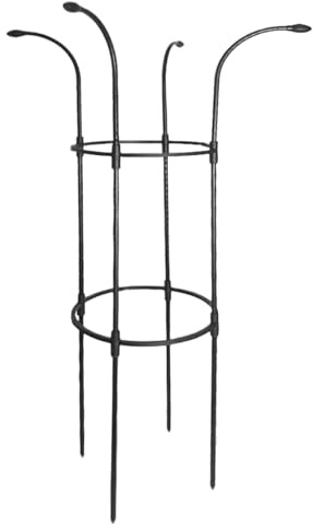 Treillis de Jardin – Support Vertical antirouille Stable pour Vigne, Rose, légumes, Fruits, hortensias, pothos