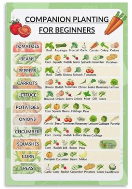 Companion Planting Poster for Beginners, Garden Planting Guide Chart with Tomatoes Basil Marigolds, Educational Soil Health Wall Art for Classroom Home(Framed,16x24inch(40x60cm))