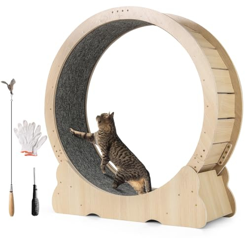 GOPLUS Kattspringcykel, 101 cm balanscykel katt, löpband för katt med avtagbar matta, brett stativ och kattfiske, ultratyst katthjul för löpning/promenad/träning, kattleksak, inomhus