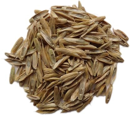 Ray-Grass Italien Bio - Lolium Multiflorum (Engrais Vert) - SEM06 (250 grammes)