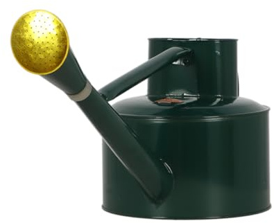 Esschert Design TG171 Arrosoir métallique Vert 5 l