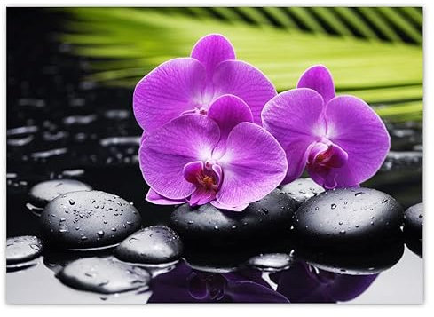 WTD H907 Sticker mural décoratif Motif orchidée sur pierres 70 x 50 cm