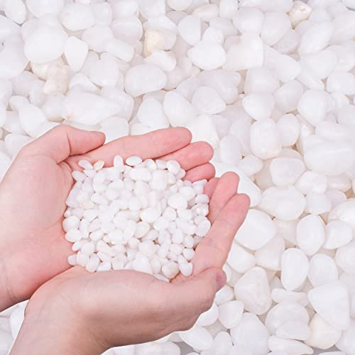 HOT SEAL 1.9 LB White Aquarium Gravel Pebbles 3/8, Natural Decorative Aquarium Substrate Small River Rocks, Mini Pebbles Stone for Fish Tank, Aquatic Plant Bonsai, Hydrophyte
