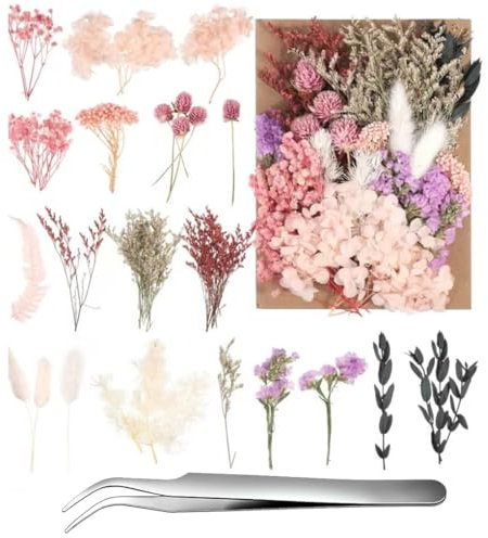 Duoleimi Getrocknete Blumen Deko - Natürliche Trockenblumen zum Basteln, für Allerheiligen, Weihnachten, DIY & mehr, kleine Trockenblumen,mit Kostenlose Pinzette.