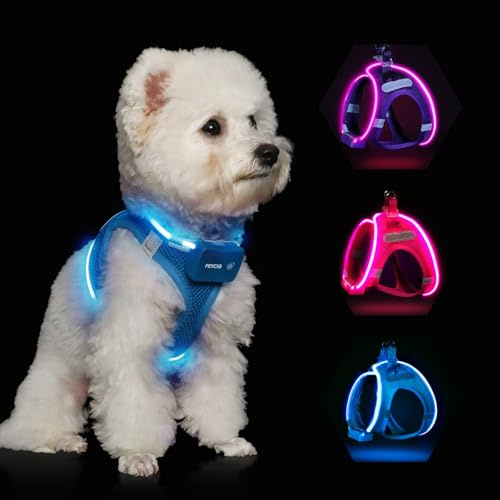 Feycig Leuchtendes Hundegeschirr, wiederaufladbar, LED-Hundegeschirr für kleine, mittelgroße und große Hunde, verstellbar und reflektierend, blinkend, Sicherheitsweste, wasserdicht für nächtliche