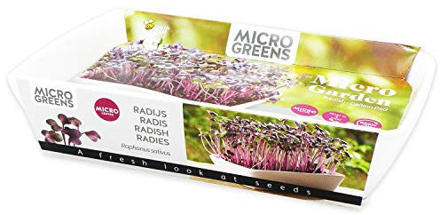 Fröset odling set rädisor groddar groddar i vit keramikskål 26,5 cm