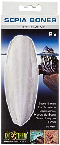 Exo Terra Sepia Bones, Sepiaschale, schwimmfähig, Kalziumquelle, ideal für Schildkröten und alle Eidechsenarten, 2er Pack